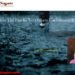 www.realshayari.com
