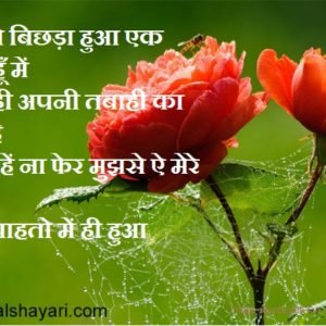 Happy Roseday