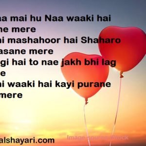 Ab Naa Mai Hu Naa Waaki Hai Jamane Mere