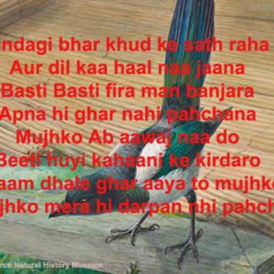 Jindagi Bhar Khud Ke Sath Raha