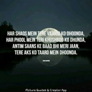 Har shaqs mein tere vajood ko dhoonda