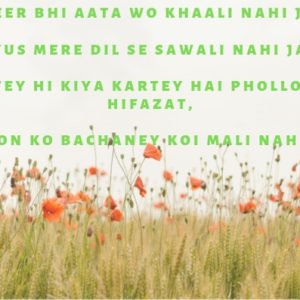 Jo Teer Bhi Aata Wo Khaali Nahi Jata