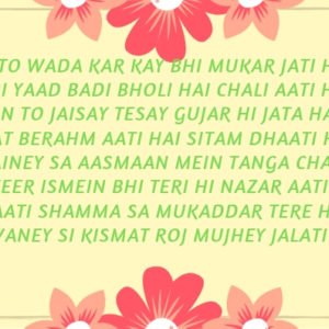 Tu To Wada Kar Kay Bhi Mukar Jati Hai