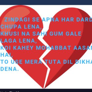 Zindagi Se Apna Har