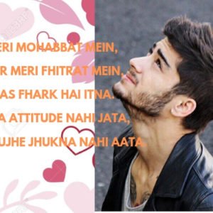 Teri Mohabbat Mein