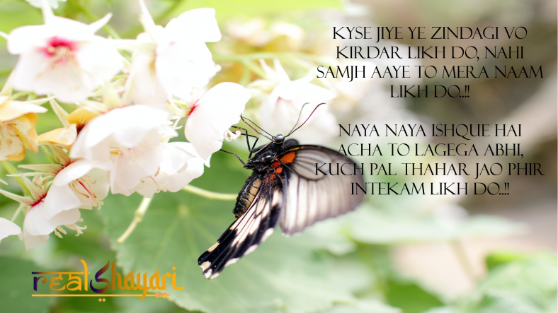 Kyse Jiye Ye Zindagi Vo Kirdar Likh Do