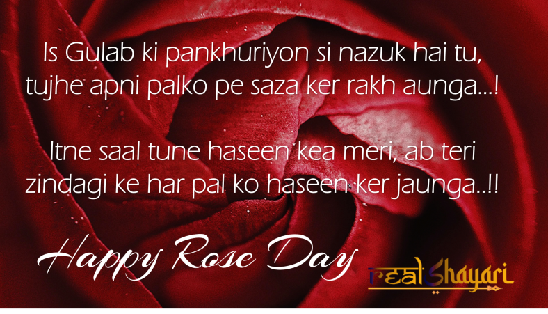 Rose Day Shayari for Wife