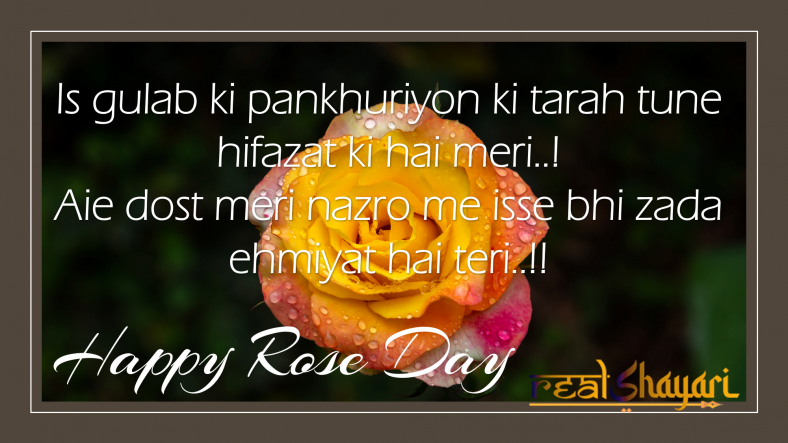 Rose Day Shayari For Friends